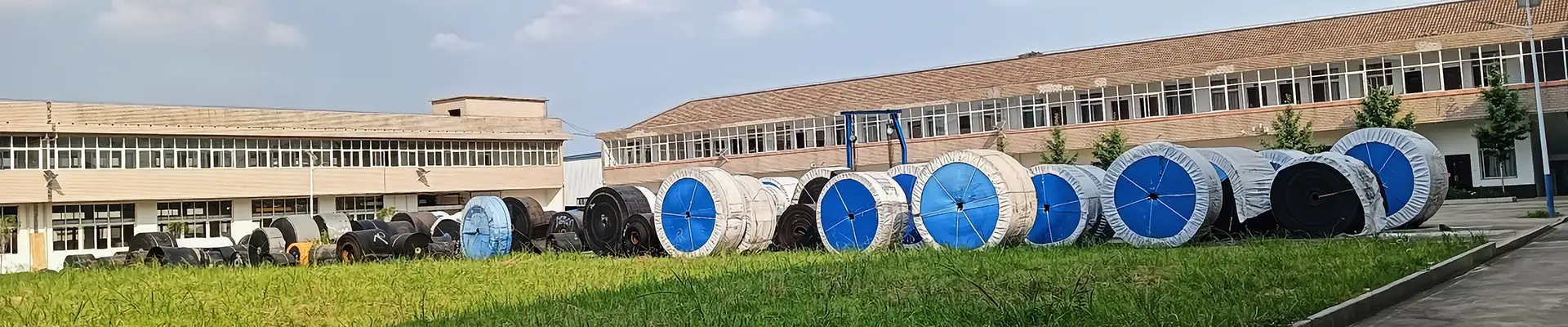 Benzi transportoare